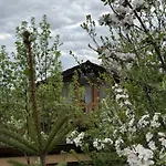 Pensión Forest House