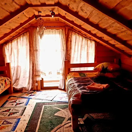 Forest House