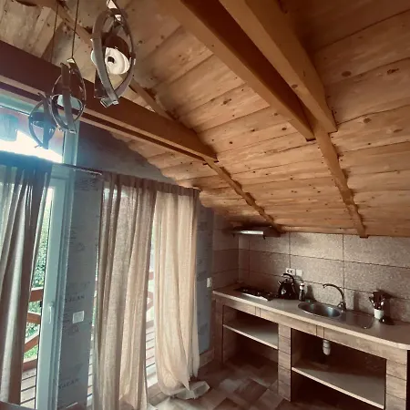 Forest House Yasinya