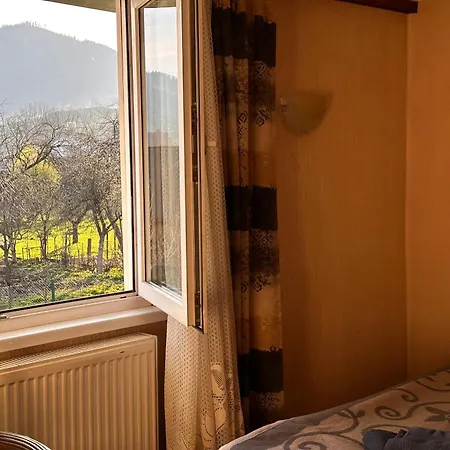 Guest house Forest House Yasinya