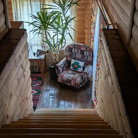 Forest House Guest house *