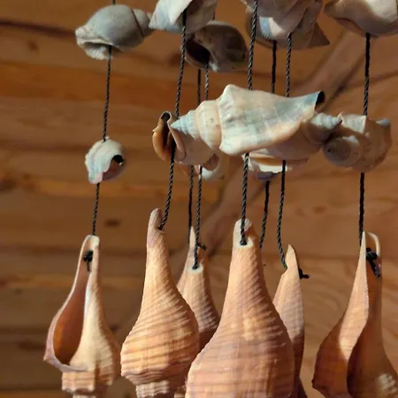 Forest House Casa de hóspedes *