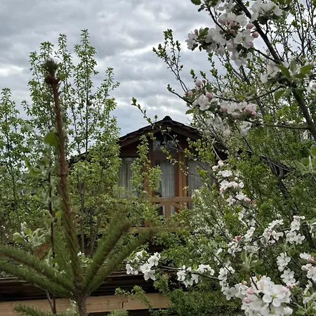 게스트하우스 Forest House